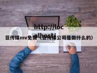 豆传媒mv免费（豆传媒公司是做什么的）