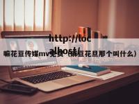 嘛花豆传媒mv免费（麻豆花旦那个叫什么）