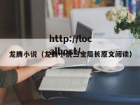 龙腾小说（龙腾小说三宝局长原文阅读）